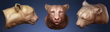 3D model Cheetah Stare (STL)